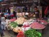 Wali Kota mencontohkan, tahun investasi dibidang pertanian, Kotamobagu harus surplus beras, begitu juga dengan ikan harus surplus untuk disuplai ke rumah makan dan restaurant serta hasil pertanian lainnya.