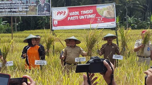 Wali Kota Kotamobagu Panen Padi Bersama TNI