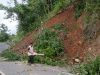 Jalur Trans Sulawesi Longsor Disertai Pohon Tumbang