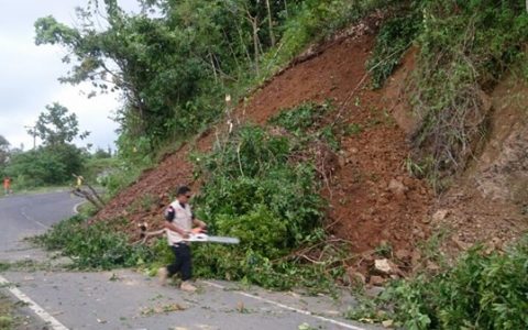 Jalur Trans Sulawesi Longsor Disertai Pohon Tumbang