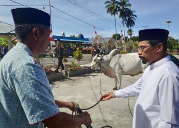 Bupati Bersama Jajaran Pimpinan SKPD Berbagi Hewan Qurban