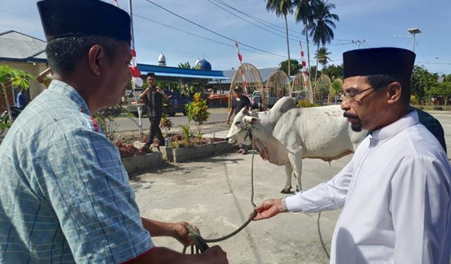 Bupati Bersama Jajaran Pimpinan SKPD Berbagi Hewan Qurban