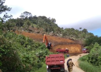 Hutan Produksi Terbatas di Boltim Dibabat
