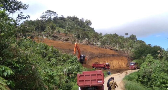Hutan Produksi Terbatas di Boltim Dibabat