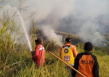 Kebakaran Lahan di Bolmong Makin Marajela