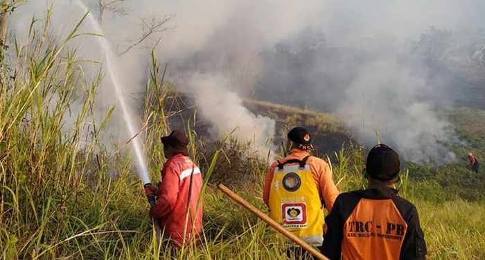 Kebakaran Lahan di Bolmong Makin Marajela