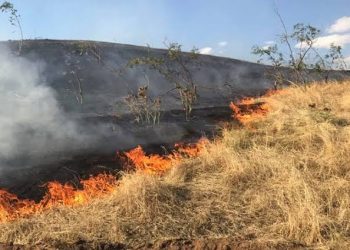 Kebakaran hutan dan lahan disalah satu wilayah Pantura Bolmong