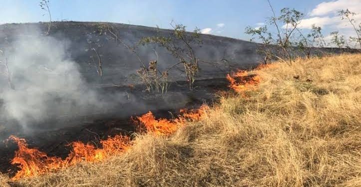 Kebakaran hutan dan lahan disalah satu wilayah Pantura Bolmong