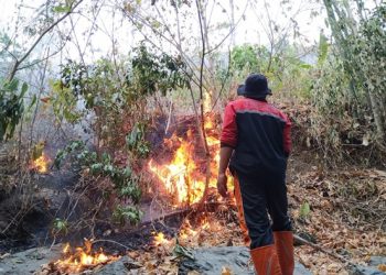 Kebakaran Lahan di Pesisir Bolmong Terus Terjadi