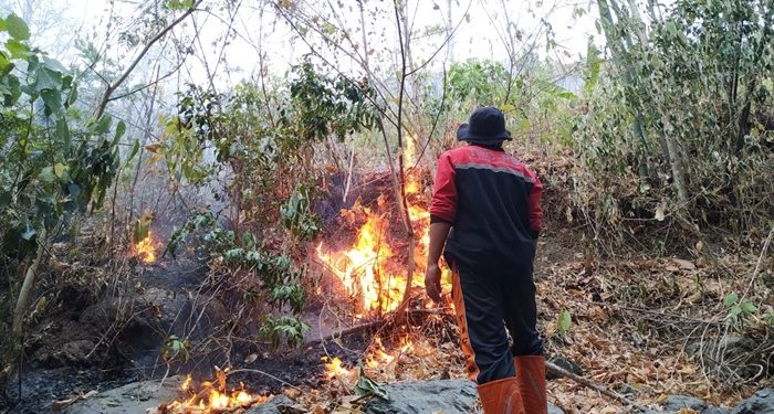 Kebakaran Lahan di Pesisir Bolmong Terus Terjadi