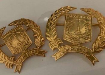 Salah satu contoh PIN milik anggota