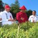 Agenda Wabup Bolsel Hari Ini, Mulai Panen Cabe Hingga Hadiri Pelantikan Anggota BPD