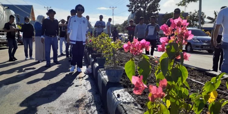 Bugenvil dan Tabebuya Percantik Wajah Ibukota Bolmong