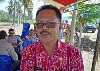 Taufik: Kecamatan Passi Bersatu Cocok Untuk Tanaman Kemiri