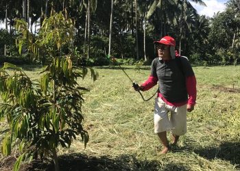 Lexsy Mamonto, Sebidang Kebun dan Sepetak Sawah