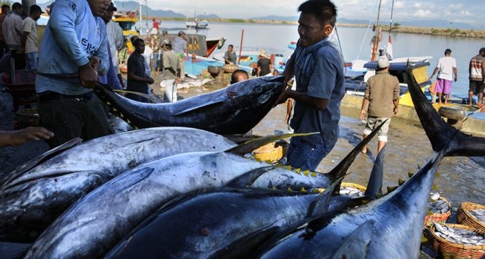 Produksi Ikan di Kabupaten Bolsel Over Target