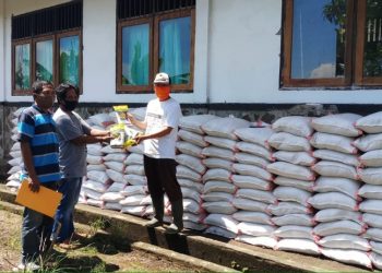 Pemkab Bolmong Sebar Bibit Jagung Manis