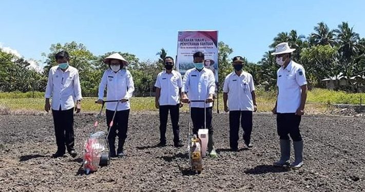 Yasti: Petani Garda Terdepan Penguatan Ketahanan Pangan di Tengah Pandemi