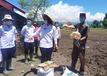 Pekan Depan Pemkab Bolmong Salurkan Bibit Sayur