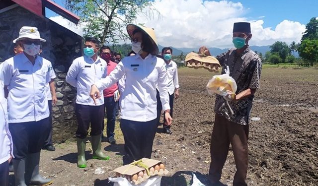 Pekan Depan Pemkab Bolmong Salurkan Bibit Sayur