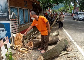 Fahri dan Lasmini Tewas Tertimpa Pohon Saat Melintas di Desa Inuai