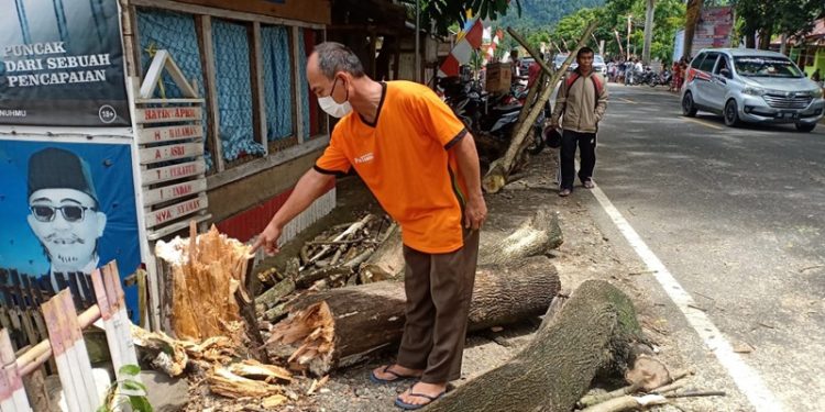 Fahri dan Lasmini Tewas Tertimpa Pohon Saat Melintas di Desa Inuai