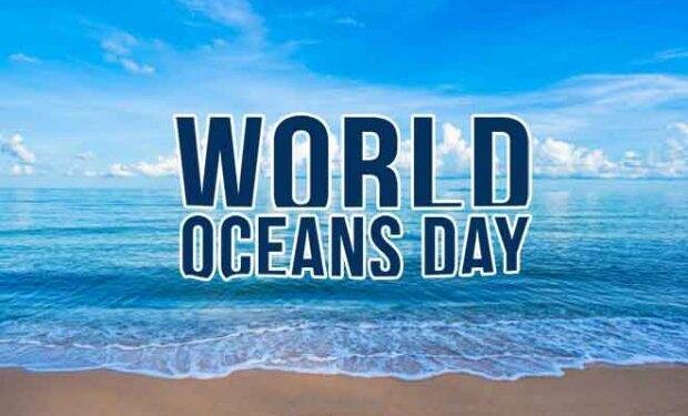 Sambut WCD, HP3D Kerja Sama DLH Bolmong Bersih-bersih Pantai