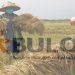 Kabar Gembira, Bulog Divre Bolmong Siap Beli Beras Lokal
