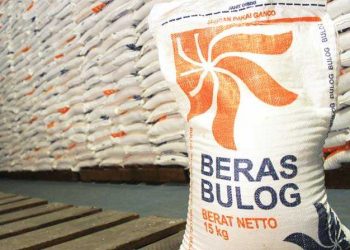 Tahun Ini DKP Bolmong Siap 7.5 Ton Cadangan Beras Pemerintah