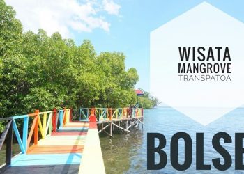 Ini Alasan Mengapa Ekowisata Mangrove di Bolsel Terus Dikembangkan