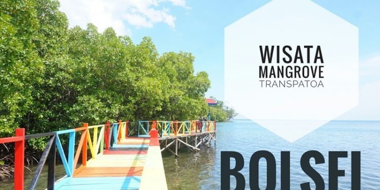 Ini Alasan Mengapa Ekowisata Mangrove di Bolsel Terus Dikembangkan