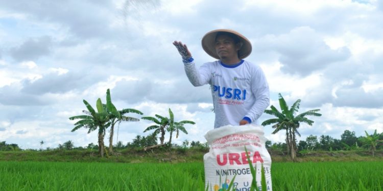 Kelangkaan Pupuk, DPRD Bolmong Hearing Dinas Pertanian