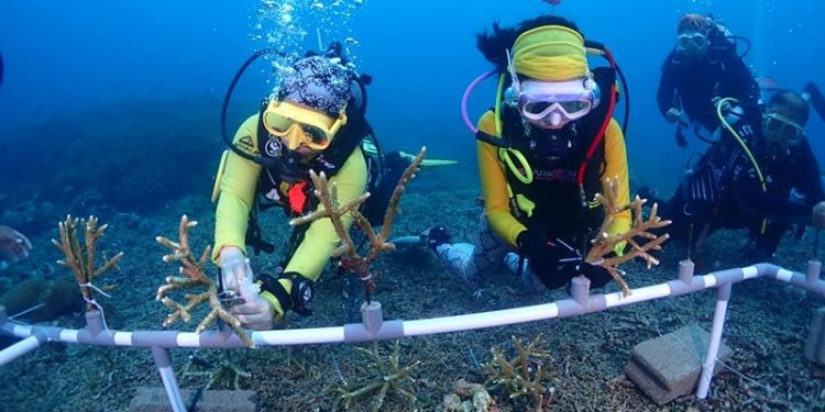 Turis Asal Eropa dan China Ikut Diving Festival di Bolsel
