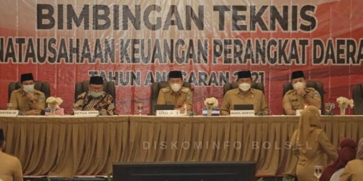 Iskandar Buka Bimtek Penatausahaan Keuangan Perangkat Daerah