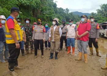 Tinjau Lokasi Longsor, Yasti Imbau Warga Tetap Waspada