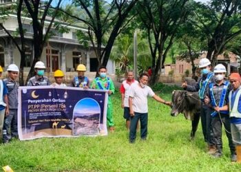 PT PP Proyek Bendungan Lolak Berbagi Hewan Kurban Bersama Warga