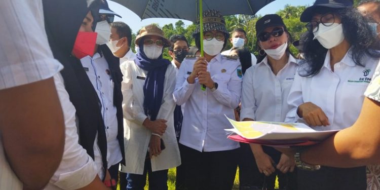 Kementrian Investasi BKPM Fasilitasi PT KIMONG