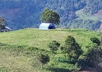 Miris, Tenda Milik Pemkot Kotamobagu Dipakai di Kebun