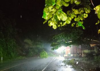 Ruas Jalan AKD Kaiya-Kotamobagu Longsor