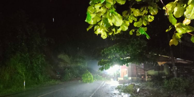 Ruas Jalan AKD Kaiya-Kotamobagu Longsor