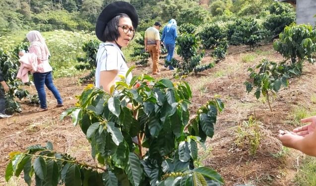 Yasti Isi Waktu Senggang Panen Kopi di Kebun