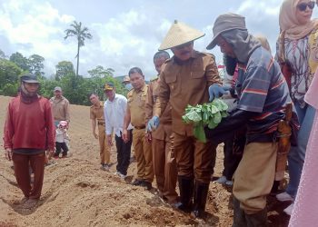 TOTABUAN.CO BOLMONG – Penjabat Bupati Bolaang Mongondow (Bolmong) Limi Mokodompit kunjungi Desa Insil Kecamatan Passi Timur Selasa 6 September 2022. Kunjungan kerja itu tepatnya di Perkebunan Antuk, Limi didampingi para pimpinan OPD  menanam Wortel dan Kubis bersama para petani di Desa Insil Bersatu. Limi menyampaikan, petani yang ada di Kecamatan Passi Timur untuk bersemangat dalam mengelolah lahan perkebunan agar  kedaulatan pangan terus terjaga. “Mari terus bangkitkan semangat berkebun agar kedaulatan pangan kita terus terjaga sebagaimana anjuran Presiden Joko Widodo,” kata Limi di hadapan para petani. Limi pun ikut memberikan apresiasi kepada pemerintah desa dan masyarakat yang telah mengagas kegiatan ini. Selain bertujuan melihat langsung kondisi lahan pertanain juga bisa mendengar keluhan rakyat yang ada di Desa Insil Bersatu. “Insil ini merupakan desa leluhur saya. Saya sangat bangga bisa bersama masyarakat dan petani desa Insil Bersatu untuk terus mendukung petani dalam menopang kedaulatan pangan,” tandas Limi. (*)