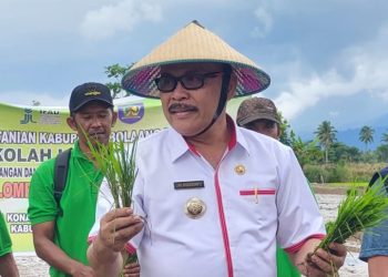 TOTABUAN.CO BOLMONG – Pj Bupati Bolaang Mongondow (Bolmong) Limi Mokodompit dikabarkan akan maju di Pilkada Bolmong pada 2024 mendatang. Kabar tersebut muncul, setelah dirinya dilantik sebagai Pj Bupati Bolmong oleh Gubernur Olly Dondokambey pada 22 Mei lalu. Kembali bertarungnya Limi juga diperkuat dengan isu ingin membayar kekalahan pada Pilkada Bolmong pada 2011 silam. Hampir lima bulan menjalankan tugas sebagai Pj Bupati, simbol-simbol mulai nampak. Simbol tersebut, dipercaya sebagai sikap perilaku sebagai wacana akan maju di Pilkada mendatang. Terlebih Ia tidak lama lagi akan memasuki masa pensiun. Bahkan saat ini tak jarang warga Bolmong sudah mulai membicarakan dan menyebut nama-nama tokoh yang diprediksi bakal maju di pilkada itu. Salah satunya adalah Limi Mokodompit. Namun saat diminta tanggapan, Limi menepis semua rumor tersebut. Ia mengatakan jika dirinya saat ini masih berstatus aparatur sipil negara atau ASN. “Kalau soal itu saya no coment. Tapi kalau itu menjadi pembicaraan serta keinginan itu hak demokrasi, tapi bagi saya belum ada statemen itu dan belum ada rencana itu,” kata Limi usai acara penanam padi di Desa Konarom Kecamatan Dumoga Tenggara Rabu 7 September 2022. Ia mengungkapkan, dirinya diberikan amanat oleh Gubernur sebagai Pj Bupati selain itu menjalankan tugas sebagai ASN untuk menjalankan pemerintahan. “Jadi belum terpikir dan belum terlintas ke sana. Tapi kalau itu ada dari masyarakat tentu itu menjadi hak prerogatif masyarakat,” tambah Kadis DLH Provinsi Sulut ini. Meski sinyal dan dorongan dari masyarakat semakin kuat agar dirinya maju di Pilkada, namun Limi mengaku, saat ini dirinya ditugaskan untuk menjalankan roda pemerintahan yang berakhir pada 22 Mei lalu. “Dan saya hanya menjalankan tugas tidak lebih tidak kurang. Kalau saya diminta ditarik kembali ke jabatan saya sebagai kepala dinas, saya kembali,” tandas Limi. (*)