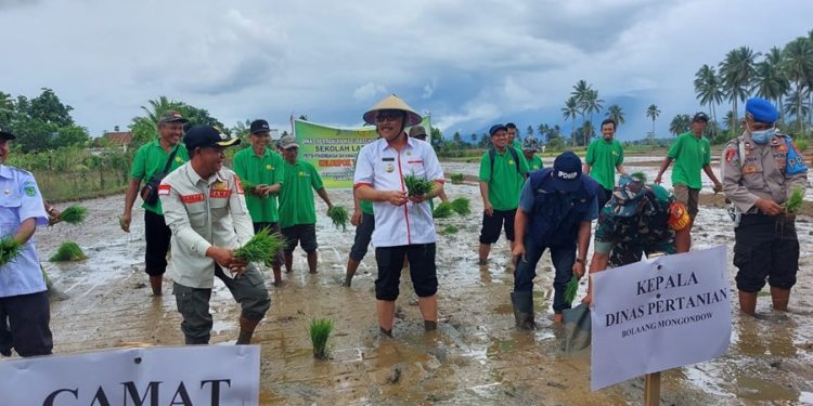 TOTABUAN.CO BOLMONG – Semangat mengembalikan Kabupaten Bolaang Mongondow (Bolmong) sebagai lumbung pangan terus digelorakan Penjabat Bupati Limi Mokodompit. Selain menjaga nilai budaya, semangat tersebut terus dikampanyekan di berbagai kunjungan kerjanya di setiap kecamatan. Terlebih di Kabupaten Bolmong, merupakan salah satu lumbung beras Sulawesi Utara. Kedaulatan pangan menurut Limi bukan hanya padi saja, namun berbagai macam tanaman pangan, sehingga tidak lagi makan beras impor. “Terima kasih atas kinerja para petani Bolmong yang telah berkontribusi bagi tersedianya pangan di Bolmong bahkan hingga mencapai hasil yang melimpah, dan selanjutnya meminta kepada para petani untuk selalu menjaga kedaulatan pangan sehingga Bolmong  jauh dari masalah kekurangan pangan,” kata Limi pada acara tanam padi perdana di Desa Konarom Kecamata Dumoga Tenggara. Menurutnya masalah pangan adalah masalah hidup mati, maka keberadaan pangan dan menjaga ketahanan pangan akan mewujudkan Bolmong lebih sejahterah. Ia menyatakan optimistis kedaulatan pangan di daerah tersebut bisa diwujudkan. "Saya yakin Kabupaten Bolmong bisa mewujudkan kedaulatan pangan, dengan mengelola  potensi bahan pangan yang ada," katanya. Bolmong mempunyai potensi pangan lokal yang luar biasa dan sangat potensial untuk lebih dikembangkan, sehingga mempunyai dampak yang nyata dalam peningkatan pencapaian standar pelayanan bidang ketahanan pangan. Di Kabupaten Bolmong banyak makanan lain yang bisa dijadikan sebagai pengganti nasi, terutama  jenis umbi-umbian,  kata dia. Limi juga menyatakan, di Provinsi Sulut, Kabupaten Bolmong merupakan daerah yang paling kaya potensi pangan lokalnya. Makanan dari umbi-umbian, kata dia, juga bisa diolah sehingga bisa menjadi panganan yang memiliki rasa beraneka ragam sesuai yang diinginkan. Pemerintah Kabupaten Bolmong terus sosialisasikan agar warga mengkonsumsi pangan beragam dan bergizi seimbang dengan memanfaatkan bahan makanan lokal. “Dalam mewujudkan ketahanan pangan, peran pemerintah yakni merumuskan kebijakan dalam mewujudkan ketahanan pangan dengan memperhatikan kebijakan yang telah ditetapkan. Selain itu, perlu mendorong keikutsertaan masyarakat dalam penyelenggaraan ketahanan pangan serta melaksanakan evaluasi dan pengendalian dalam mewujudkan ketahanan pangan,” katanya. (*)