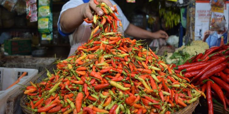 Harga Cabe di Pasar Tradisional Bolmong Naik Hingga 75 RIbu Per Kilo