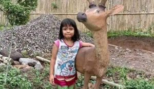 TOTABUAN.CO BOLMONG – Isu penculikan anak terus menjadi keresahan warga. Kali ini warga Desa Inuai Kecamatan Passi Barat Kabupaten Bolaang Mongondow (Bolmong) dibuat gempar dengan isu  tersebut. Manda Pobela berumur  5 Tahun, sejak Minggu 12 Februari pukul 20.30 Wita dikabarkan tak pulang ke rumah saat keluar rumah membeli makanan ringan di rumah tetangga. Sontak, isu tersebut membuat gempar warga  dan mendatangi rumah korban. Berdasarkan informasi, Manda keluar rumah tujuan membeli es di rumah tetangga. Sejak saat itu, Manda tak kembali. Menurut Miran Pobela ayah Manda, sejak pukul 19.00 Wita langsung mencari anaknya yang sudah sekitar 1 jam lebih belum kembali ke rumah. “Setelah mencari dan bertanya ke tetangga sekitar rumah, Manda tak ditemukan,” katanya. Sontak peristiwa tersebut langsung dilaporkan ke pemerintah desa dan melaporkan ke Babinsa untuk melakukan pencarian bersama masyarakat. Kepala Dinas Pemberdayaan Perempuan dan Perlindungan Anak Bolmong Farida Mooduto mengaku, pencarian terhadap Manda masih sementara dilakukan berkoordinasi dengan Polsek Passi, Danramil Passi, Satpol-PP, bersama pemerintah desa  dan masyarakat untuk terus melakukan pencarian. “Kami berharap masyarakat agar tetap tenang dan bersedia membantu keluarga korban dalam pencarian. Semoga Manda segera ditemukan dalam kondisi sehat walafiat tanpa kurang satu apapun,” katanya.(*)