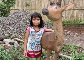 TOTABUAN.CO BOLMONG – Isu penculikan anak terus menjadi keresahan warga. Kali ini warga Desa Inuai Kecamatan Passi Barat Kabupaten Bolaang Mongondow (Bolmong) dibuat gempar dengan isu  tersebut. Manda Pobela berumur  5 Tahun, sejak Minggu 12 Februari pukul 20.30 Wita dikabarkan tak pulang ke rumah saat keluar rumah membeli makanan ringan di rumah tetangga. Sontak, isu tersebut membuat gempar warga  dan mendatangi rumah korban. Berdasarkan informasi, Manda keluar rumah tujuan membeli es di rumah tetangga. Sejak saat itu, Manda tak kembali. Menurut Miran Pobela ayah Manda, sejak pukul 19.00 Wita langsung mencari anaknya yang sudah sekitar 1 jam lebih belum kembali ke rumah. “Setelah mencari dan bertanya ke tetangga sekitar rumah, Manda tak ditemukan,” katanya. Sontak peristiwa tersebut langsung dilaporkan ke pemerintah desa dan melaporkan ke Babinsa untuk melakukan pencarian bersama masyarakat. Kepala Dinas Pemberdayaan Perempuan dan Perlindungan Anak Bolmong Farida Mooduto mengaku, pencarian terhadap Manda masih sementara dilakukan berkoordinasi dengan Polsek Passi, Danramil Passi, Satpol-PP, bersama pemerintah desa  dan masyarakat untuk terus melakukan pencarian. “Kami berharap masyarakat agar tetap tenang dan bersedia membantu keluarga korban dalam pencarian. Semoga Manda segera ditemukan dalam kondisi sehat walafiat tanpa kurang satu apapun,” katanya.(*)