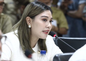 Rapat Kerja Bersama Mendagri, Cherish Harriette Gigih Dorong Pembentukan Provinsi BMR