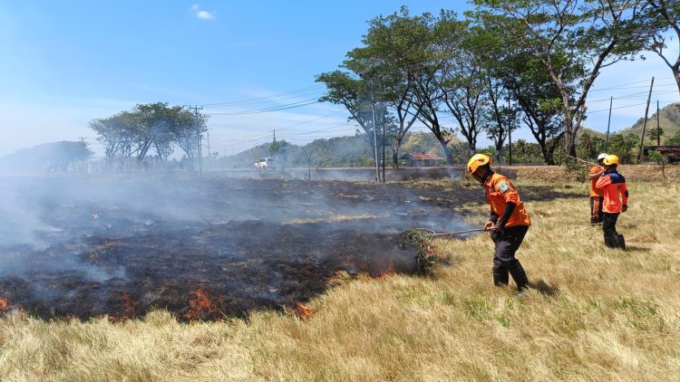 Kabakaran Lahan Makin Menggila di Kabupaten Bolmong