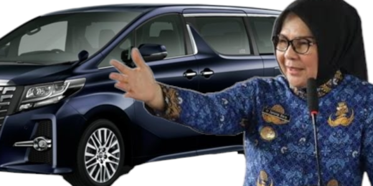 Mobil Dinas Alphard Ternyata Sudah Diincar Tatong Bara Sejak Menjabat, Dolfie: Sebaiknya Pj Walikota Pertimbangkan